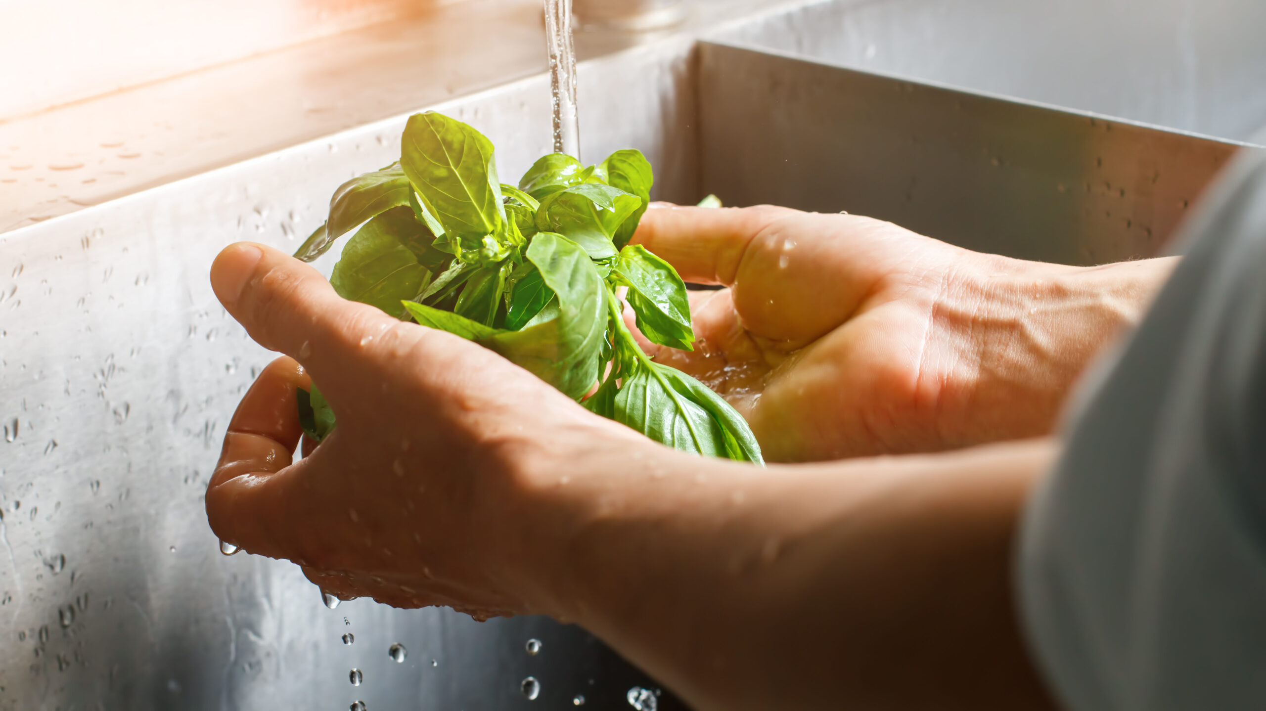 Male hands wash spinach.